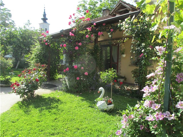 dvorište